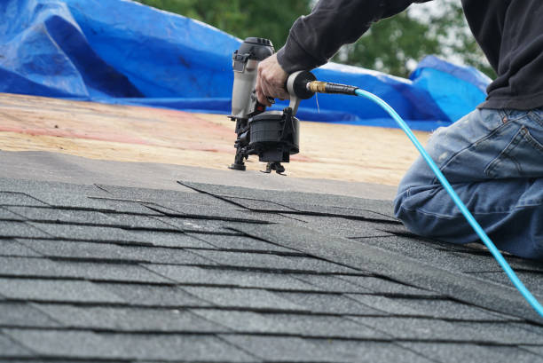Best Roof Gutter Cleaning  in Clarksville, VA