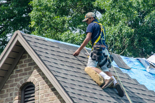Best Metal Roofing Contractor  in Clarksville, VA